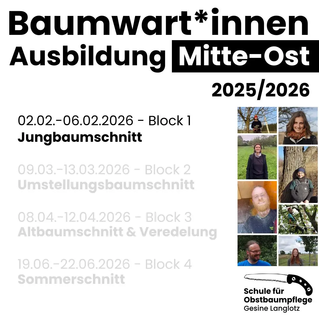 Baumwart*innen-Ausbildung Mitte-Ost 2025/2026 - Block 1- Jungbaumschnitt