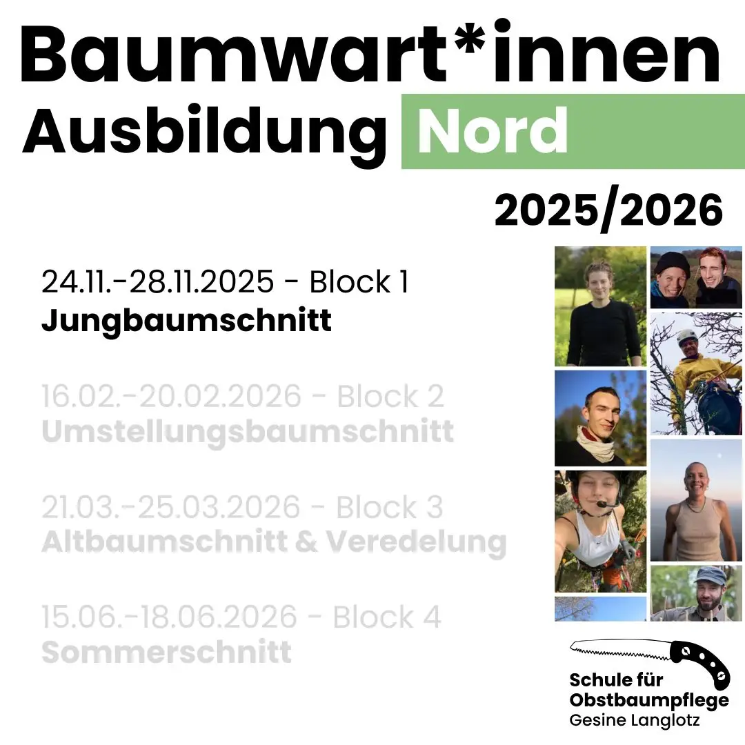Baumwart*innen-Ausbildung Nord 2025/2026 - Block 1- Jungbaumschnitt