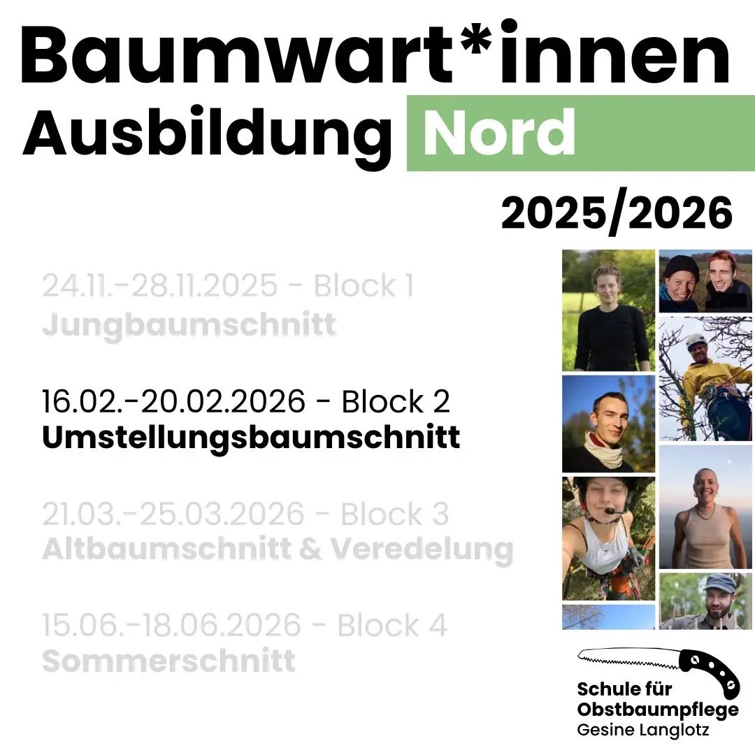 Baumwart*innen-Ausbildung Nord 2025/2026 - Block 2- Umstellungsbaumschnitt