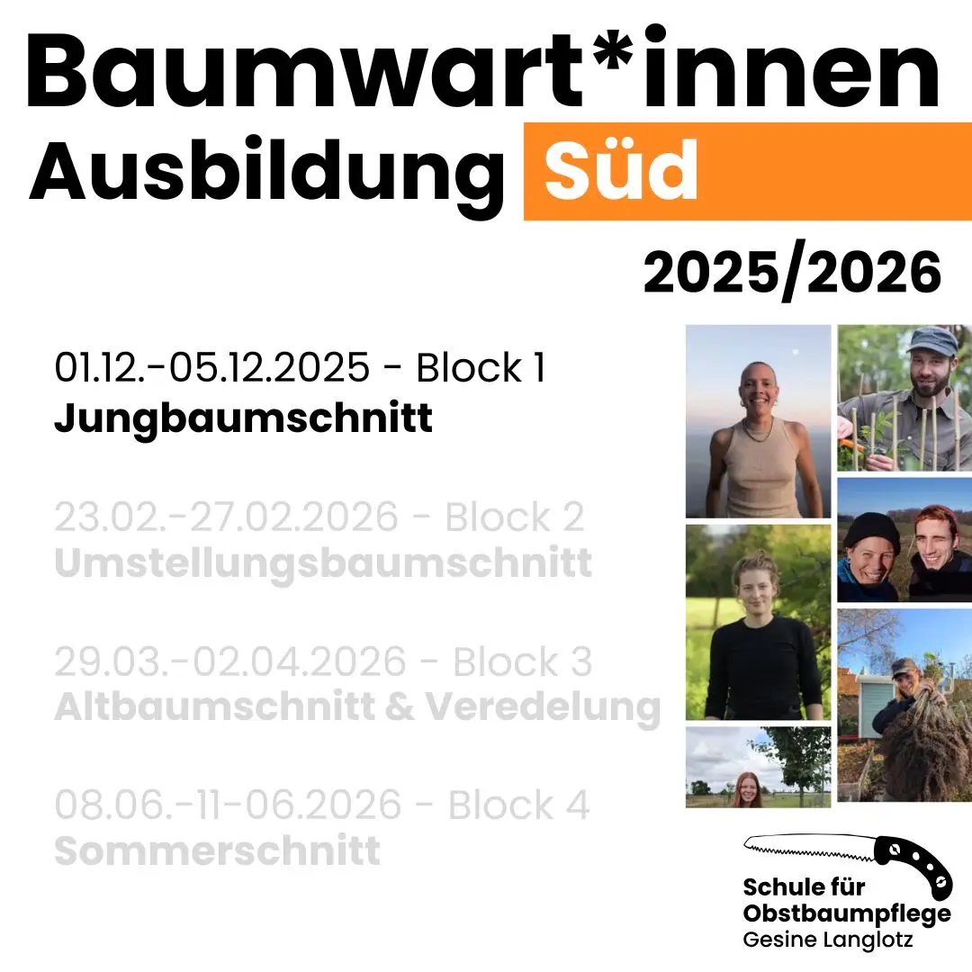 Baumwart*innen-Ausbildung Süd 2025/2026 - Block 1- Jungbaumschnitt