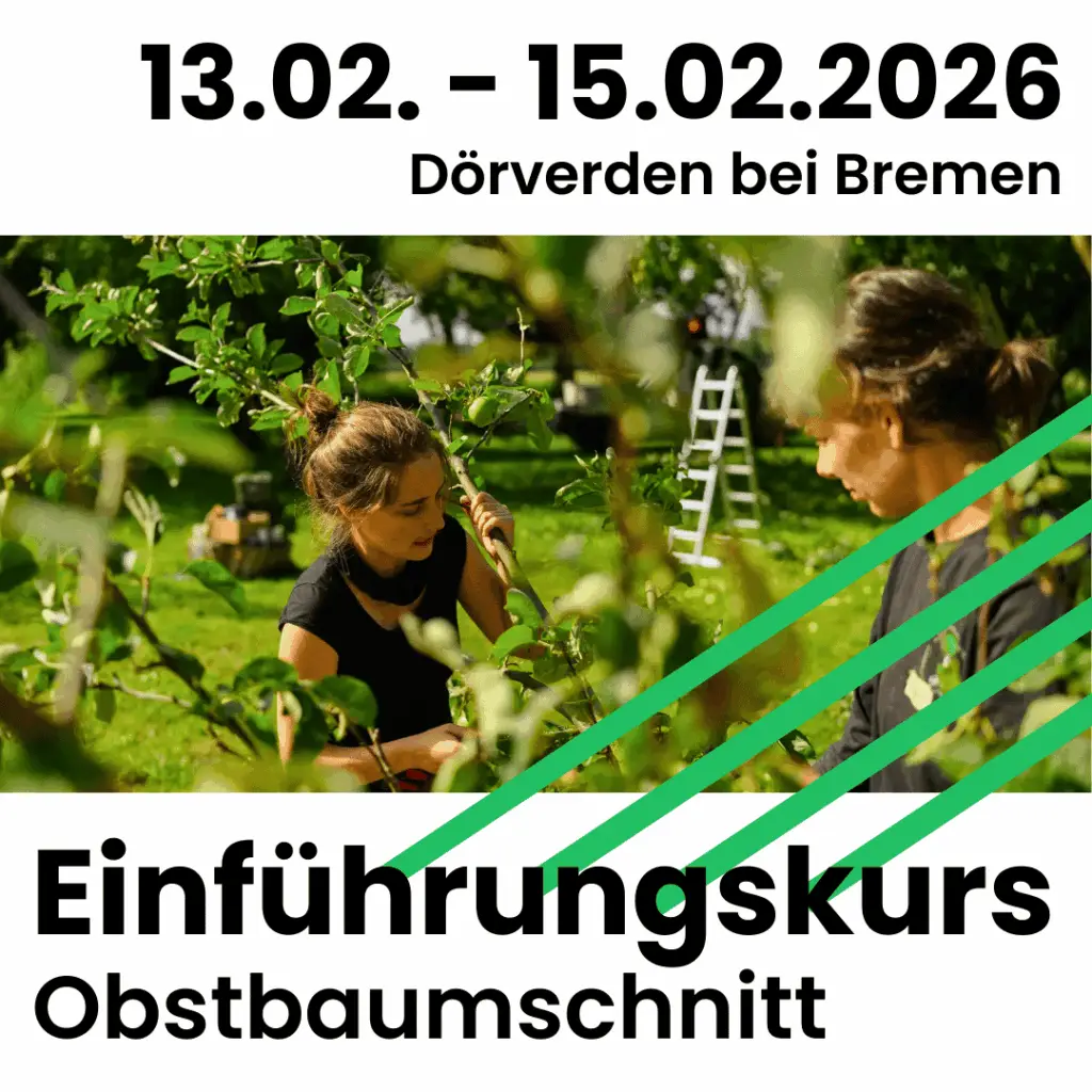 13.02.-15.02.2026 in Dörverden bei Bremen: Einführungskurs Obstbaumschnitt