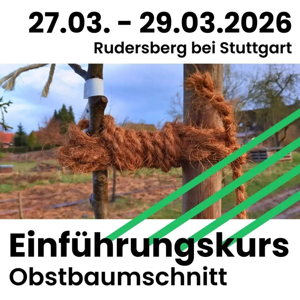 27.03.-29.03.2026 in Rudersberg bei Stuttgart: Einführungskurs Obstbaumschnitt