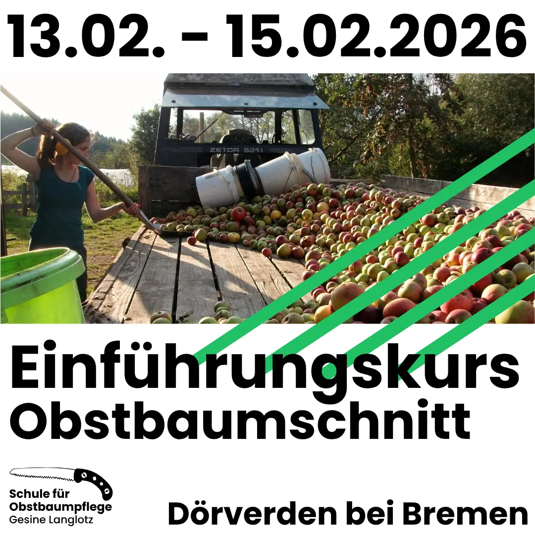 ekobstbaumschnitt-doerverden-02_2026 13.02.-15.02.2026: Einführungskurs Obstbaumschnitt in Dörverden bei Bremen