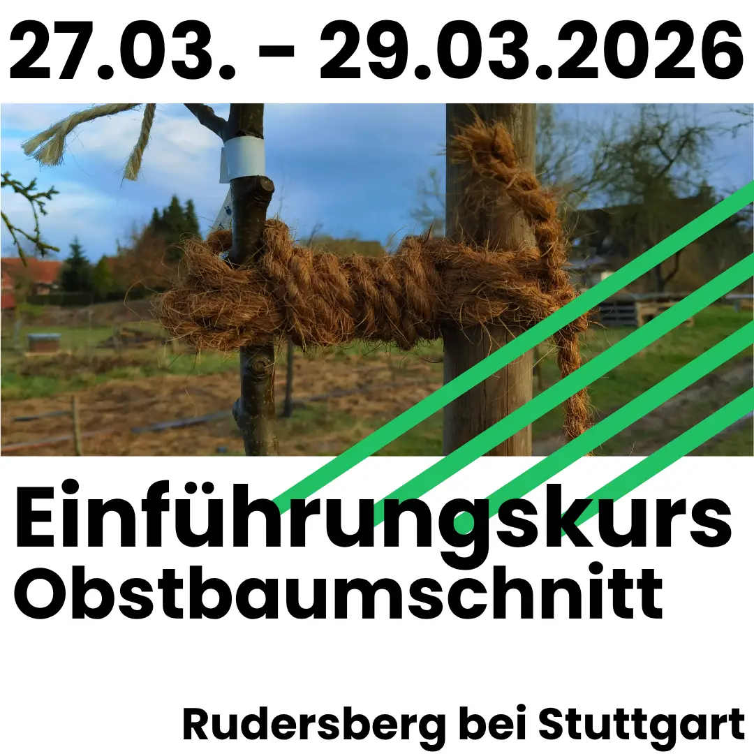ekobstbaumschnitt-rudersberg-03_2026 27.03.2026 bis 29.03.2026: Einführungskurs Obstbaumschnitt in Rudersberg bei Stuttgart.