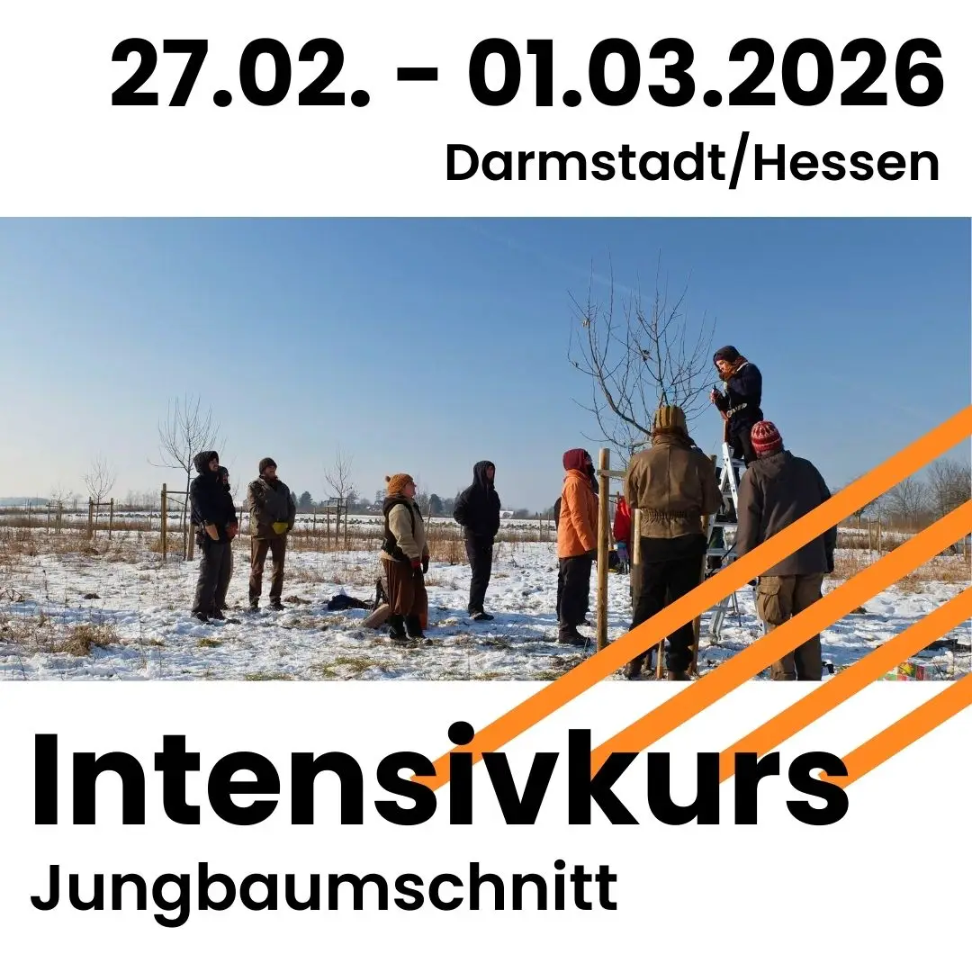 27.02.-01.03.2026 in Darmstadt: Intensivkurs Jungbaumschnitt