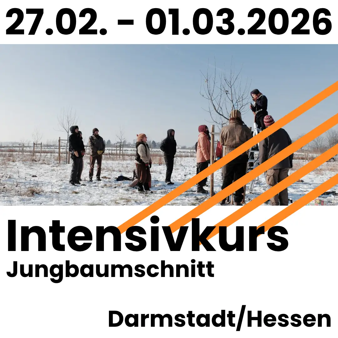 ikjungbaum-darmstadt-02_2026 27.02.-01.03.2026: Intensivkurs Jungbaumschnitt in Darmstadt/hessen
