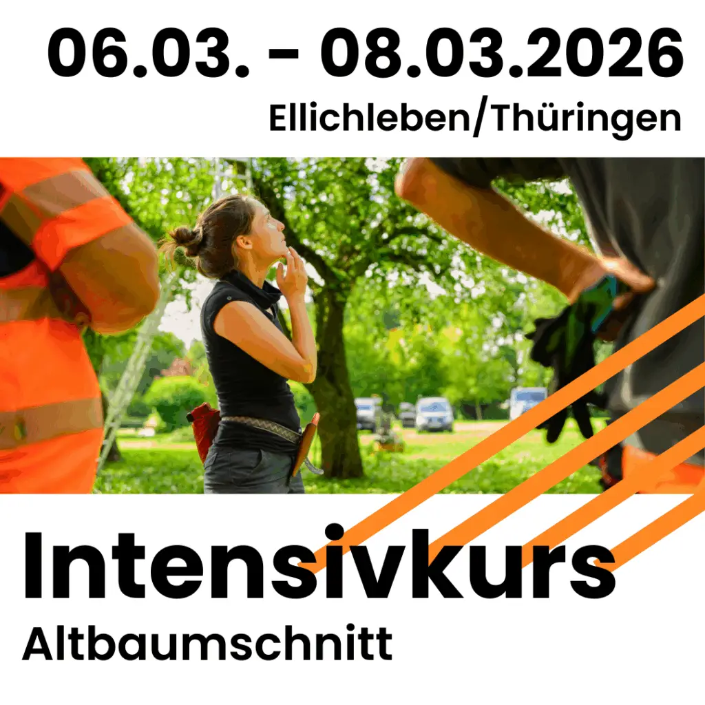 06.03.-08.03.2026 in Ellichleben/Thüringen: Intensivkurs Altbaumschnitt