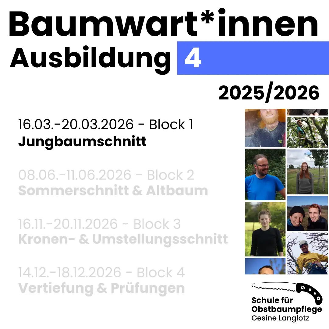 Baumwart*innen-Ausbildung 4 16.03. bis 20.03.2026: Jungbaumschnitt