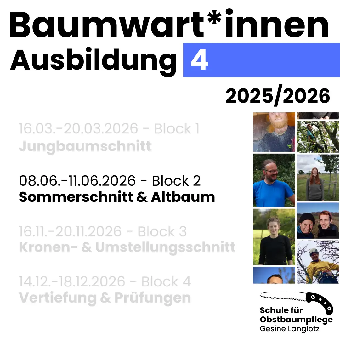 Baumwart*innen-Ausbildung 4 - 08.06. bis 11.06.2026: Sommerschnitt & Altbaum