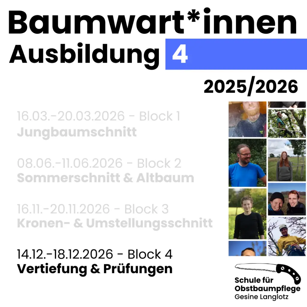 Baumwart*innen-Ausbildung 4- Block 4 - 14.12. bis 20.12.2026: Vertiefung & Prüfungen
