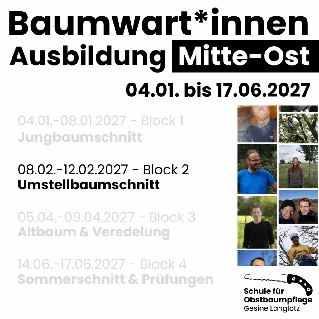 BWA Mitte-Ost (Block 2) vom 08.02. bis 12.02.2027 Umstellbaumschnitt in Sehlis bei Leipzig