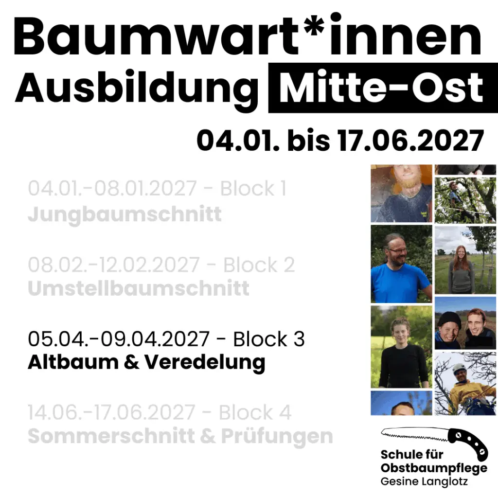 BWA Mitte-Ost Block 3 - Altbaumschnitt und Veredelung in Schöneck/Vogtland (Sachsen)