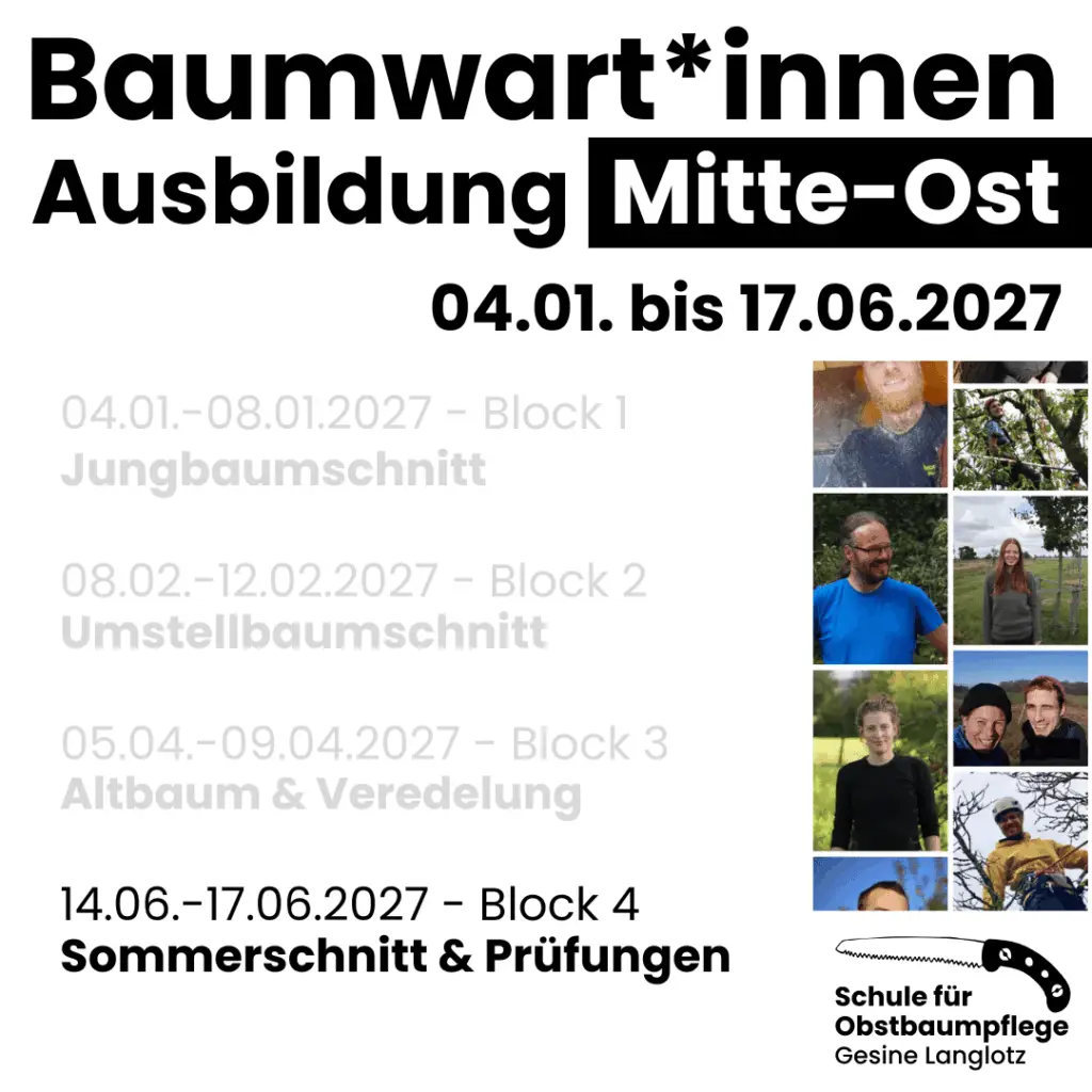BWA 2026/27 - Block 4 - Sommerschnitt in Petersberg vom 14.06. bis 17.06.2027