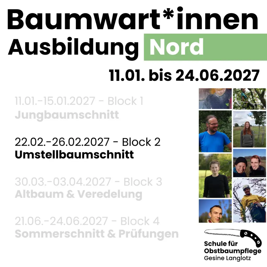 BWA Nord 2026/27 Block 2 in Dörverden: Umstellbaum vom 22. bis 26.02.2027