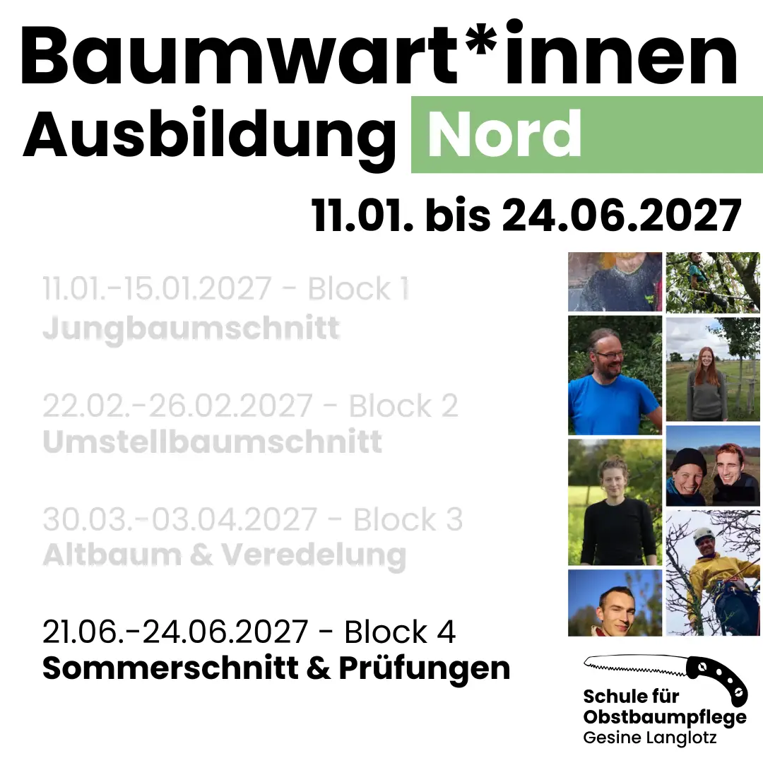 BWA Nord 2026/27 Block 4: Sommerschnitt in Leuenberg bei Berlin vom 21.–24.06.2027