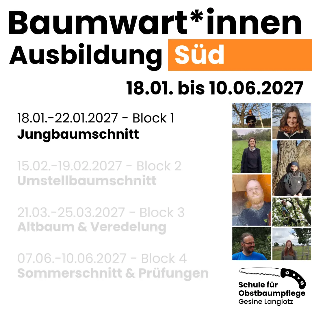 BWA Süd Block 1 vom 18.01 bis 22.01.2027: Jungbaumschnitt
