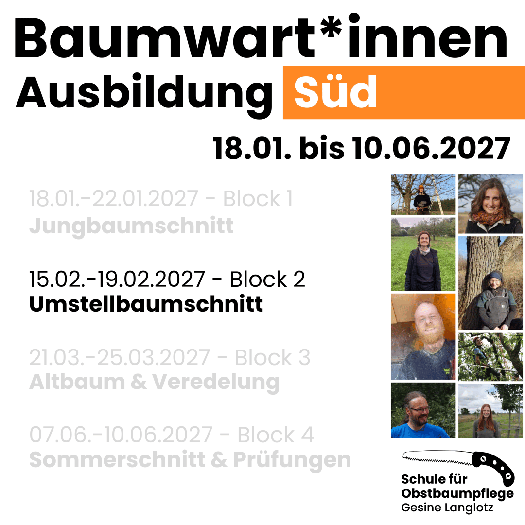 BWA Süd Block 2 vom 15. bis 19.02.2027: Umstellbaum in Darmstadt Eberstadt