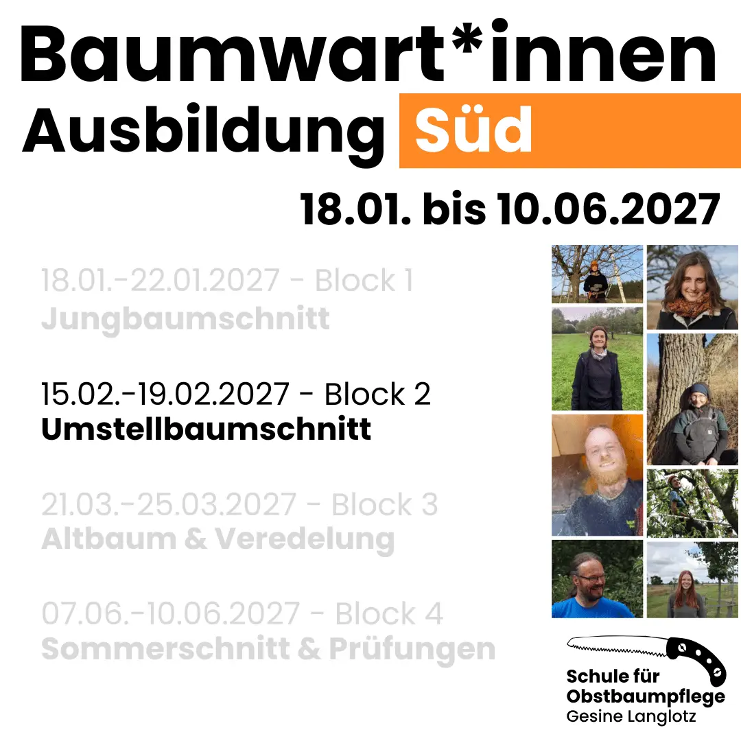 BWA Süd Block 2 vom 15. bis 19.02.2027: Umstellbaum in Darmstadt Eberstadt