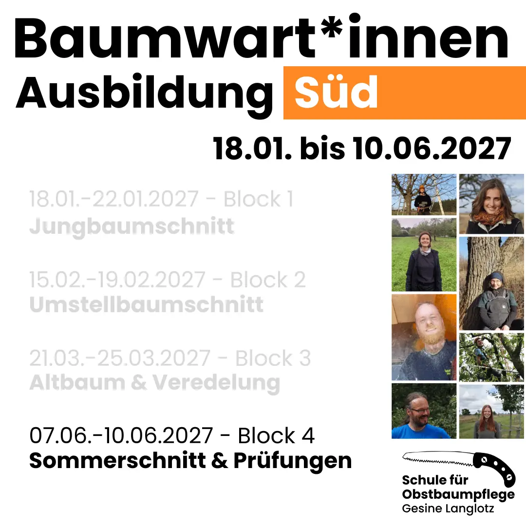 BWA Süd 2026/27 Block 4