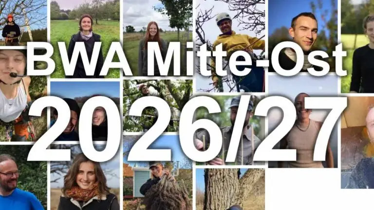BWA Mitte-Ost 2026/27