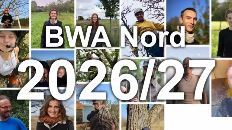 BWA Nord 2026/27