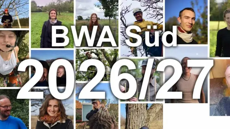 BWA Süd 2026/27