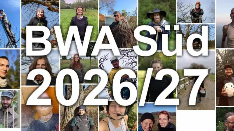 BWA Süd 2026/27