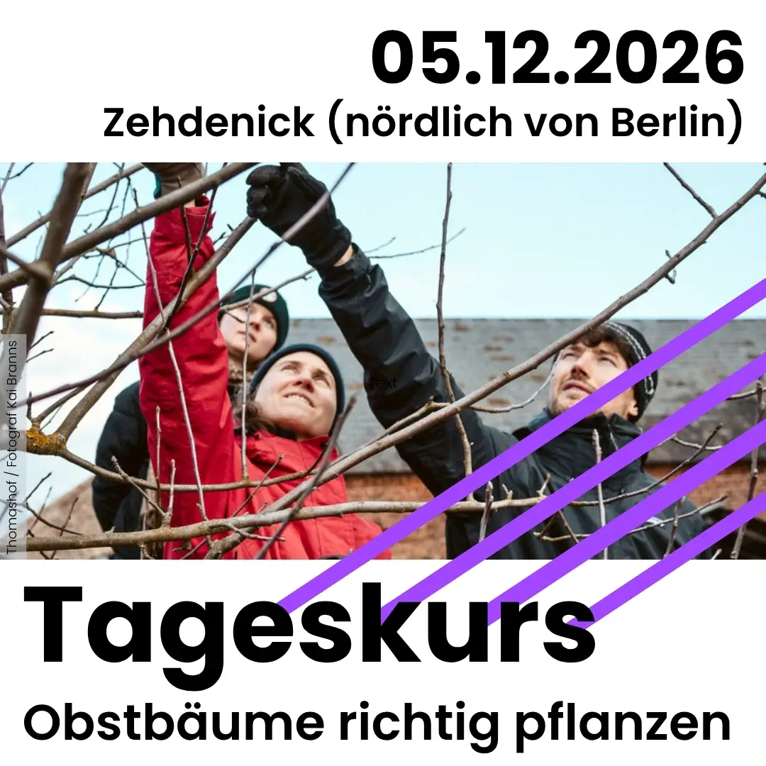 Tageskurs Obstbäume richtig pflanzen in Zehdenick (nördlich von Berlin) am 05.12.2026