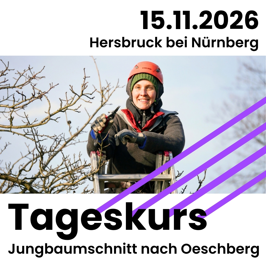 15.11.2026 bei Hersbruck/Nürnberg: Tageskurs Jungbaumschnitt nach Oeschberg
