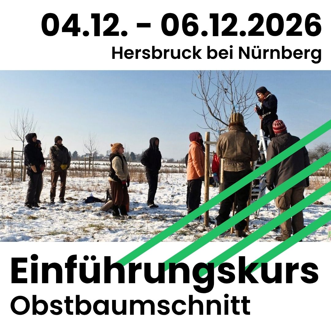 04.12. bis 06.12.2026 in Hersbruck bei Nürnberg: Einführungskurs Obstbaumschnitt.