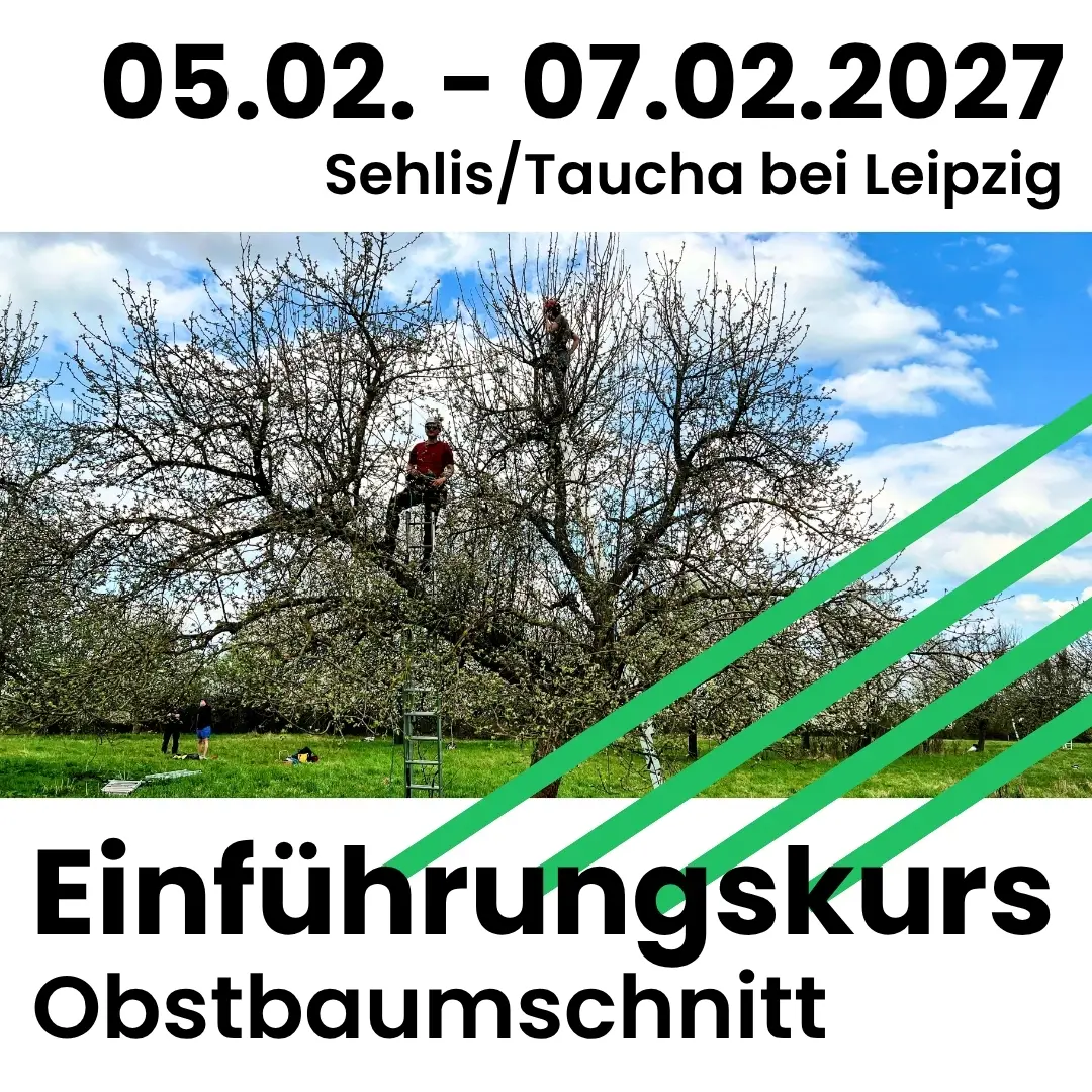 05.02. bis 07.02.2027 in Sehlis/Taucha bei Leipzig: Einführungskurs Obstbaumschnitt