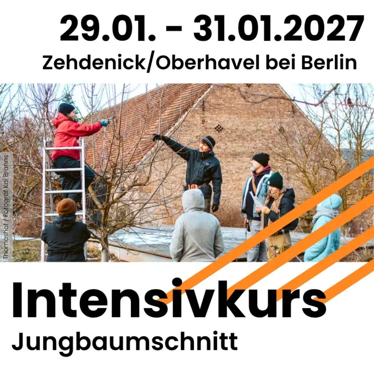 29.01-31.01.2027 in Zehdenick/oberhavel bei Berlin: Intensivkurs Jungbaumschnitt (