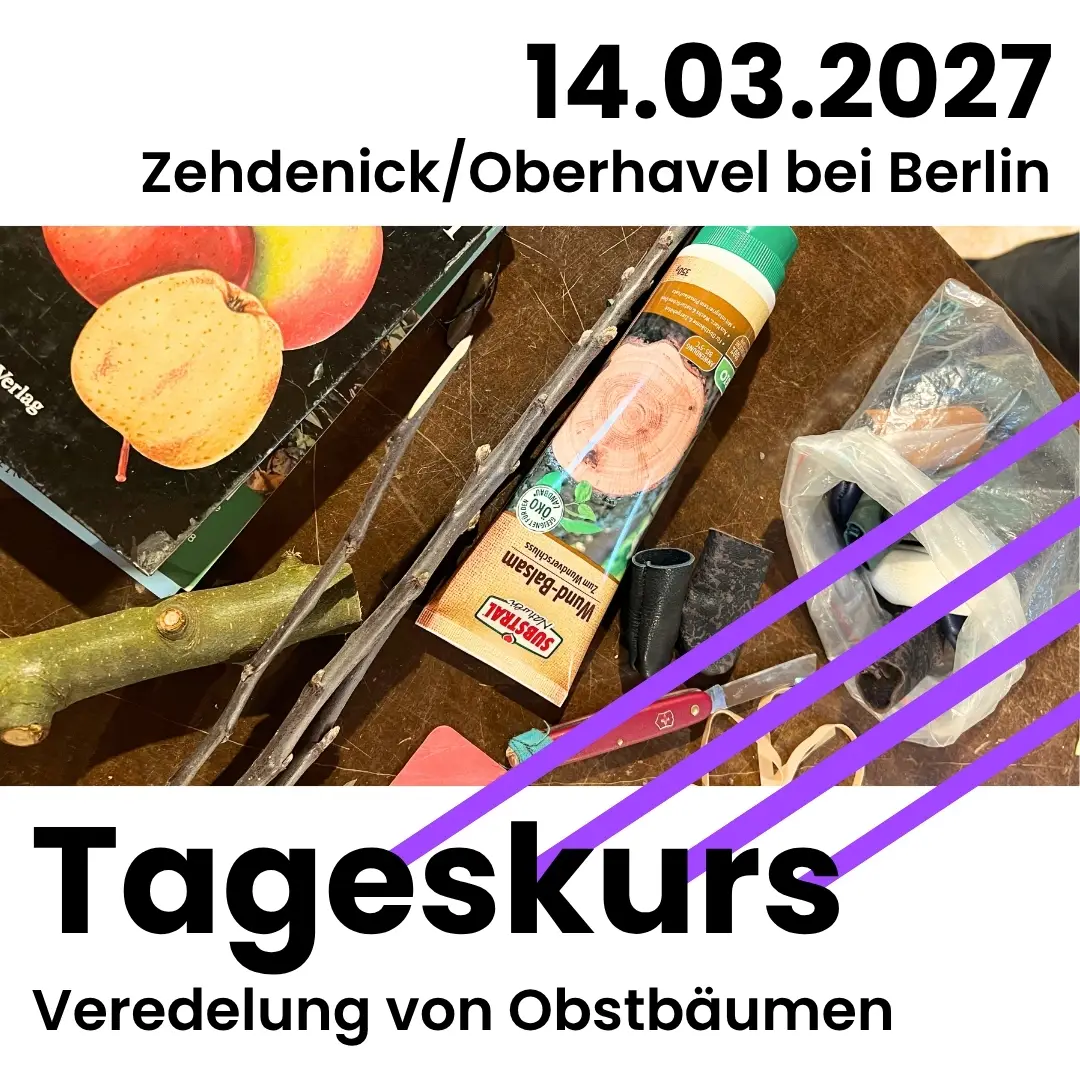 Tageskurs am 14,03.2027 in Zehdenick Oberhavel bei Berlin: Veredelung von Obstbäumen