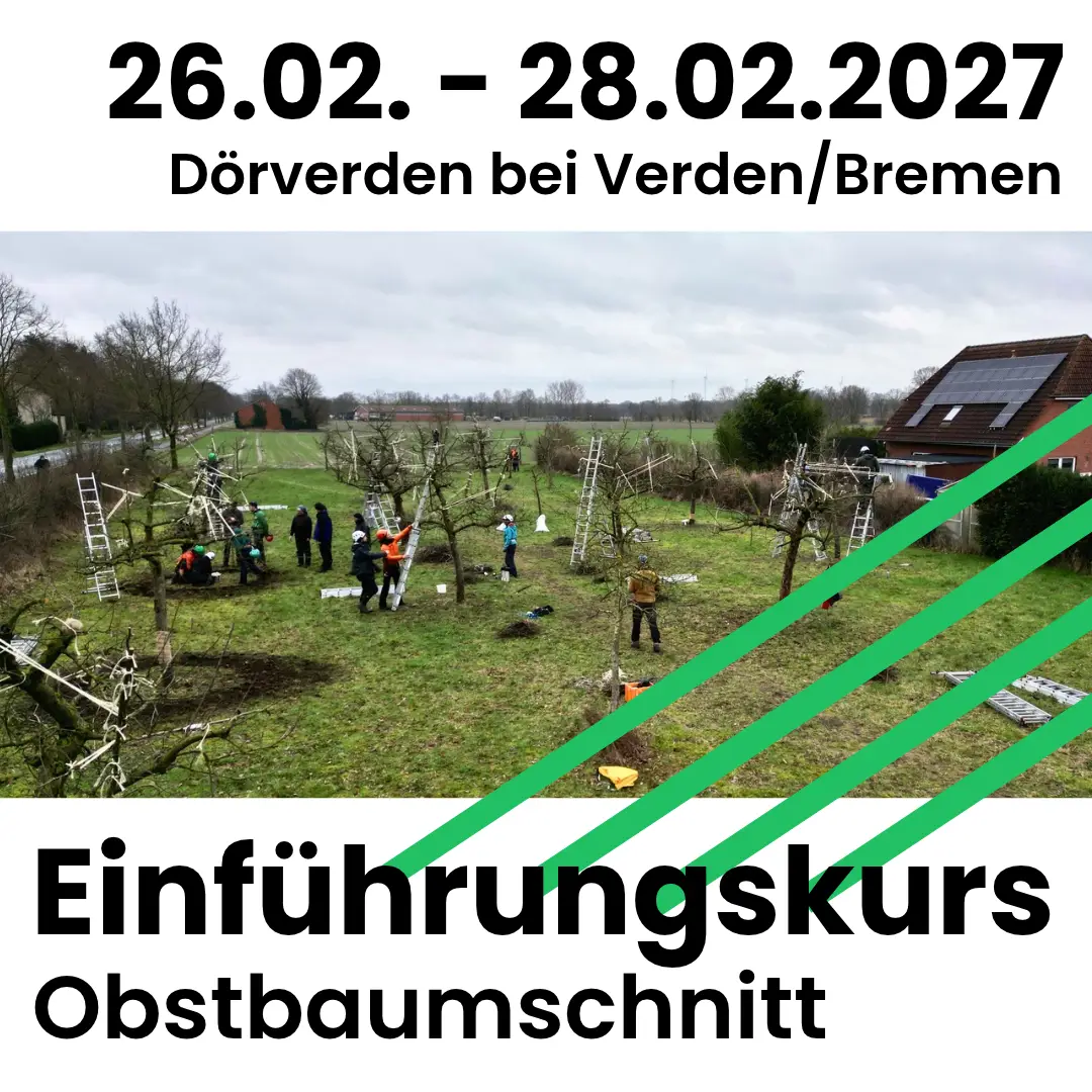 26.02.-28.02.2027 in Dörverden bei Verden/Bremen: Einführungskurs Obstbaumschnitt