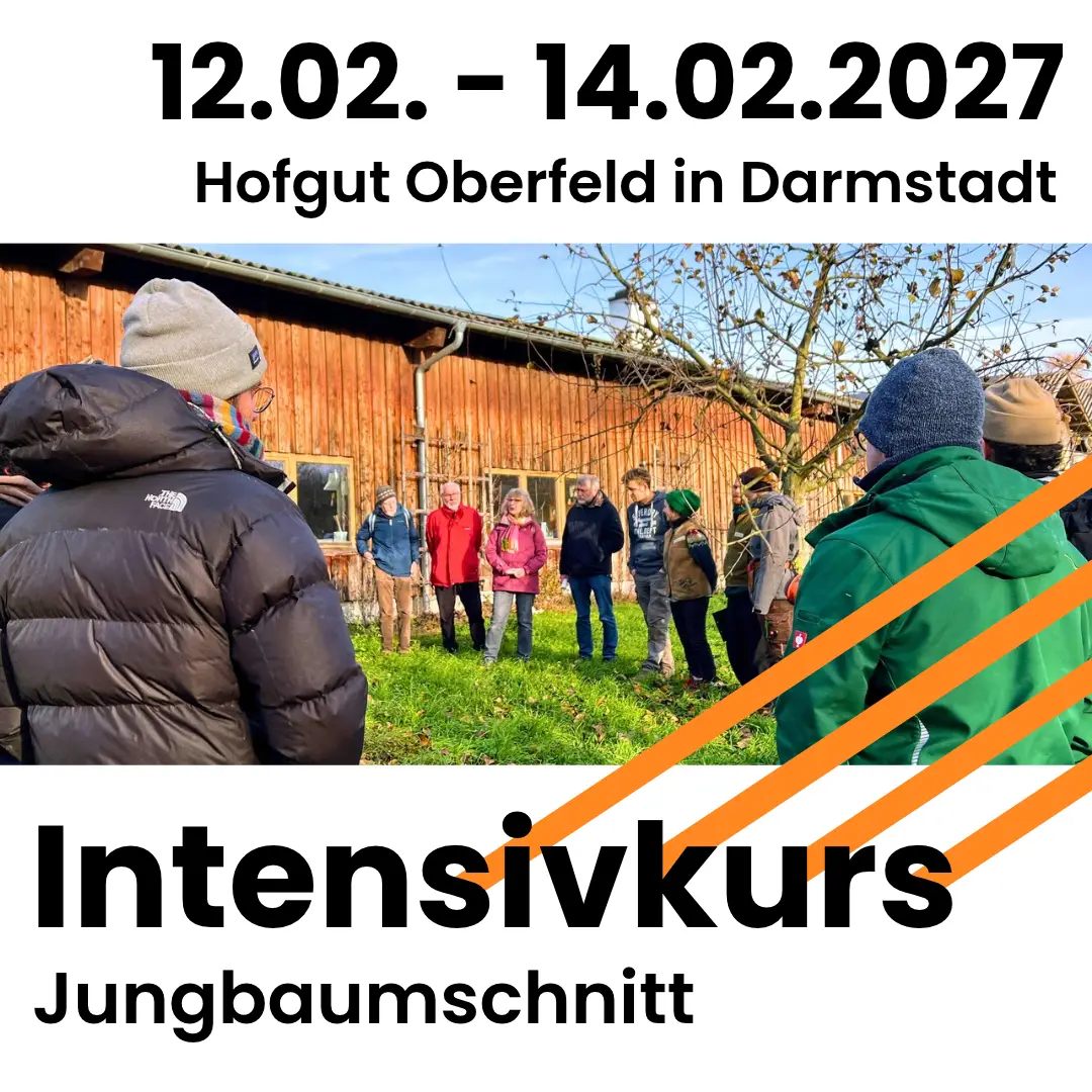 12.02. bis 14.02.2027 am Hofgut Oberfeld in Darmstadt: Intensivkurs Jungbaumschnitt