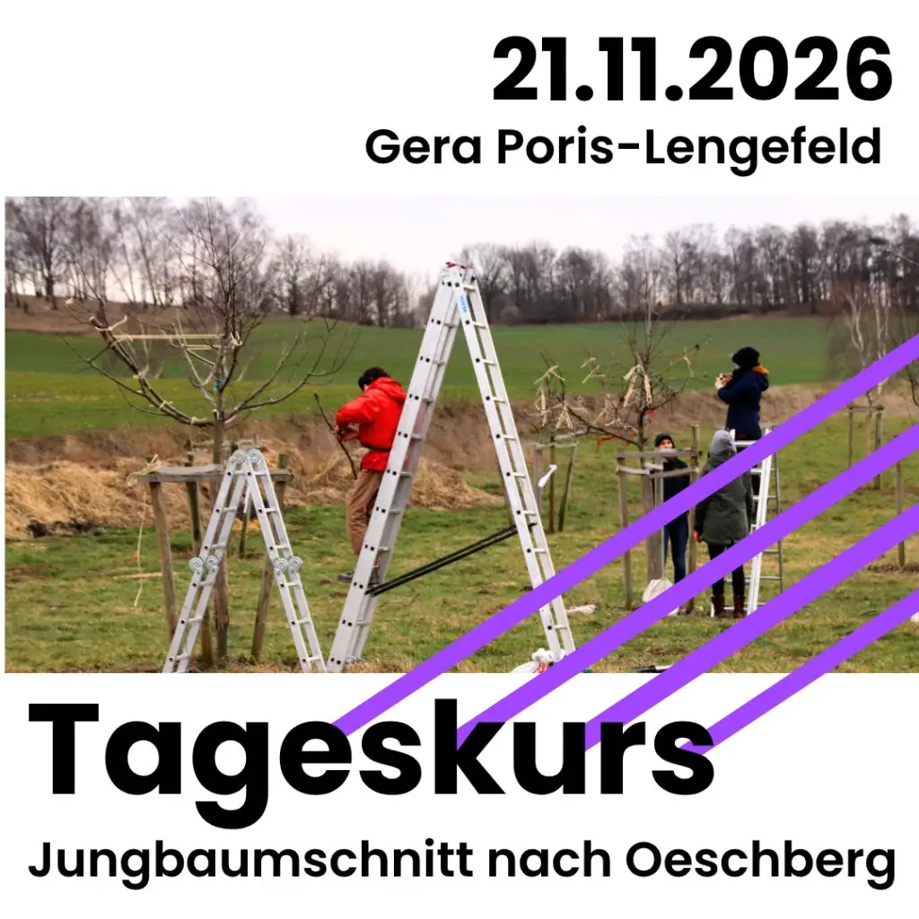 21.11.2026 in Gera Poris Lengefeld: Tageskurs Jungbaumschnitt nach Oeschberg