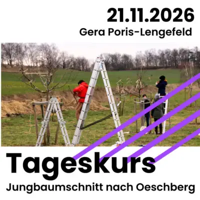 21.11.2026 in Gera Poris Lengefeld: Tageskurs Jungbaumschnitt nach Oeschberg